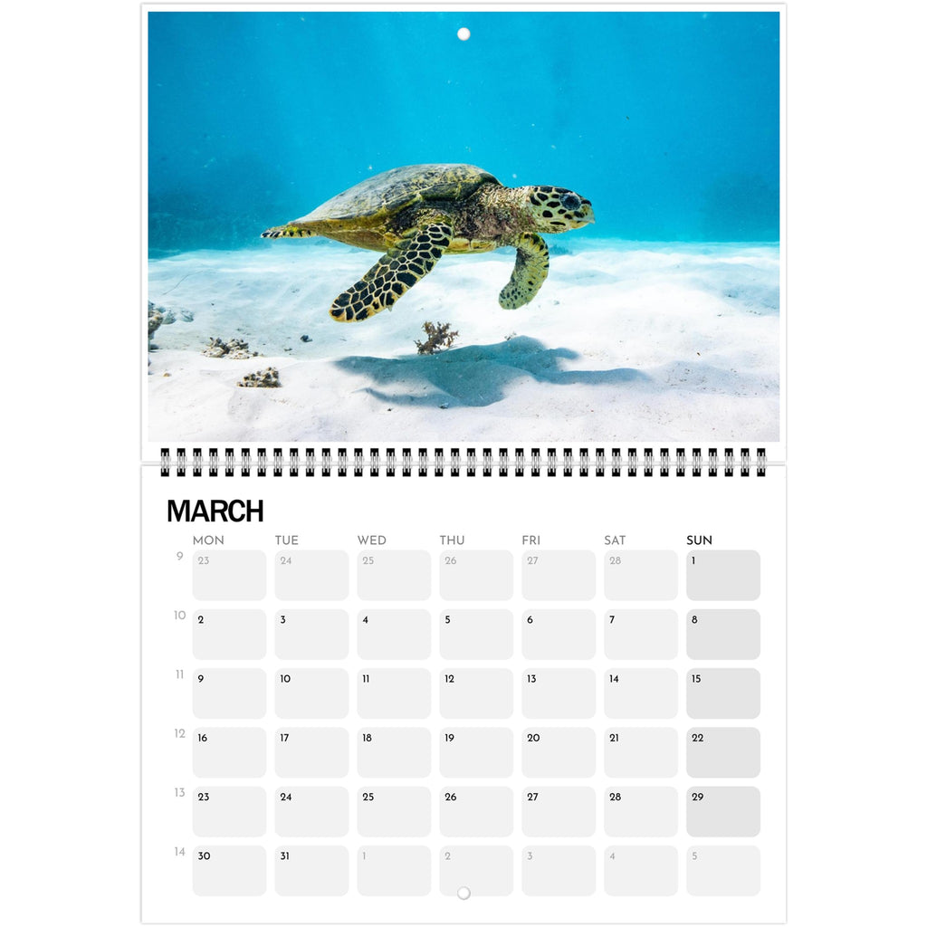 0394d1f3-8468-4062-b2b0-241868faca09