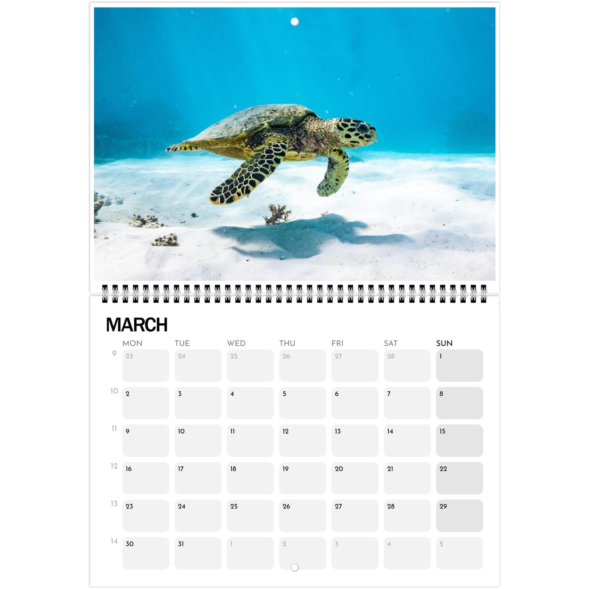 0394d1f3-8468-4062-b2b0-241868faca09