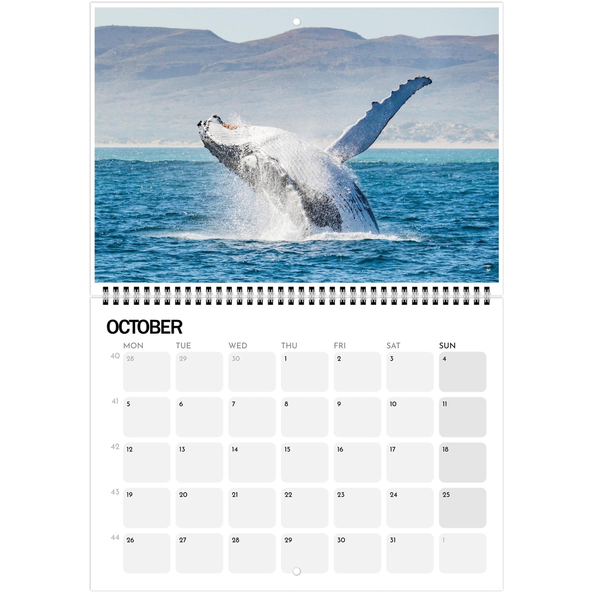 040cefd1-1861-40bf-92e5-35e28fc9b2de