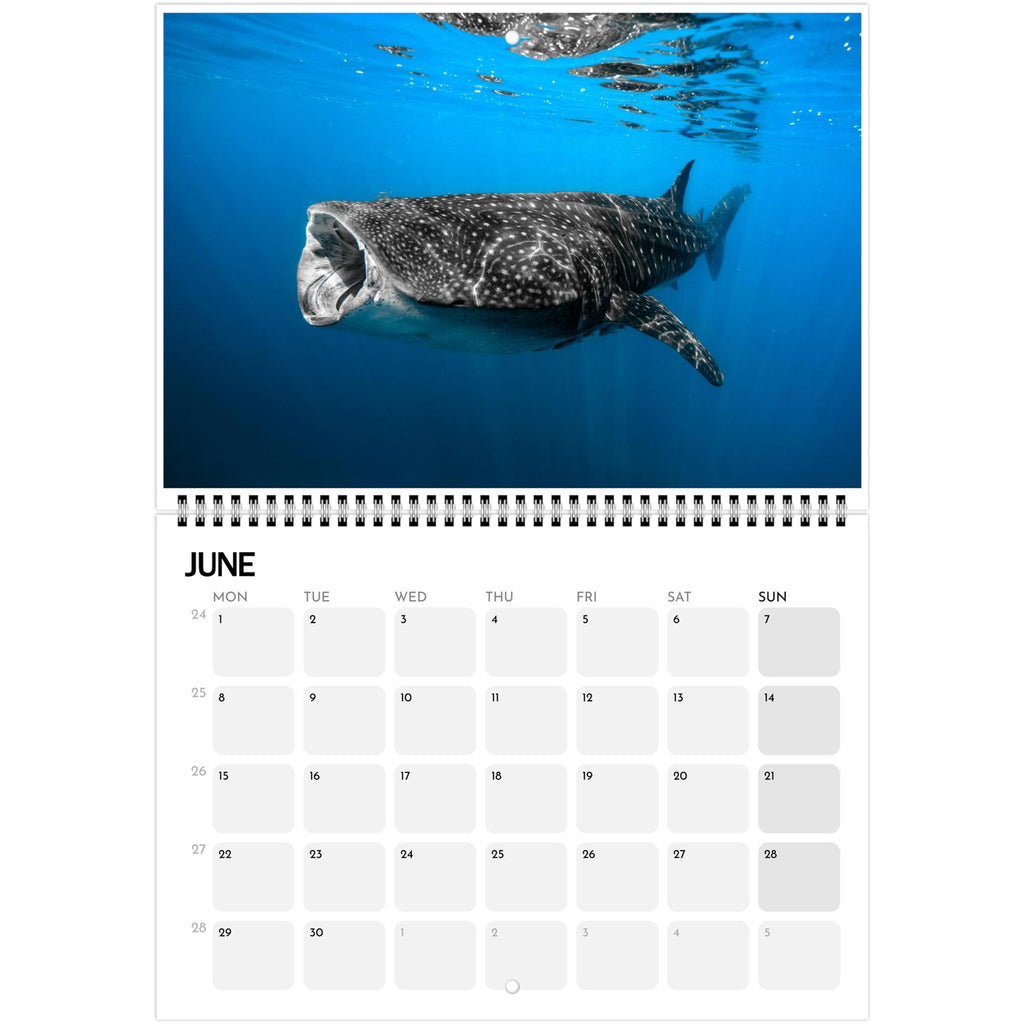 2c07d4bc-dbcb-4104-aaae-f326dd96e245