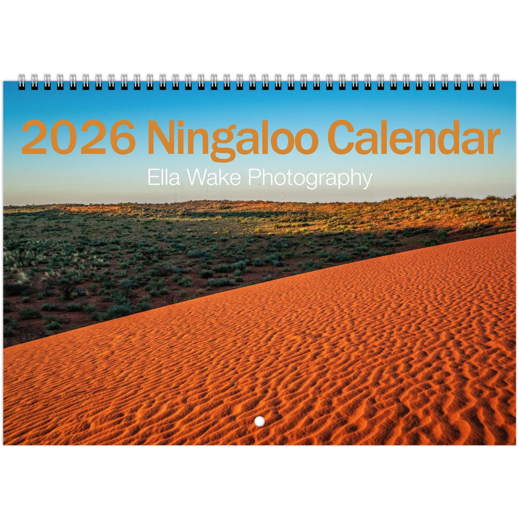 2f6962ed-4df1-464f-a7b2-d3d05d5f36c5