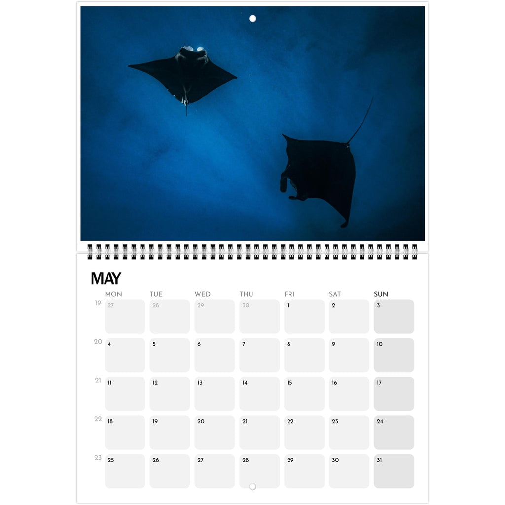 399d047b-5cb6-49f7-bb46-61d5ee3c779c