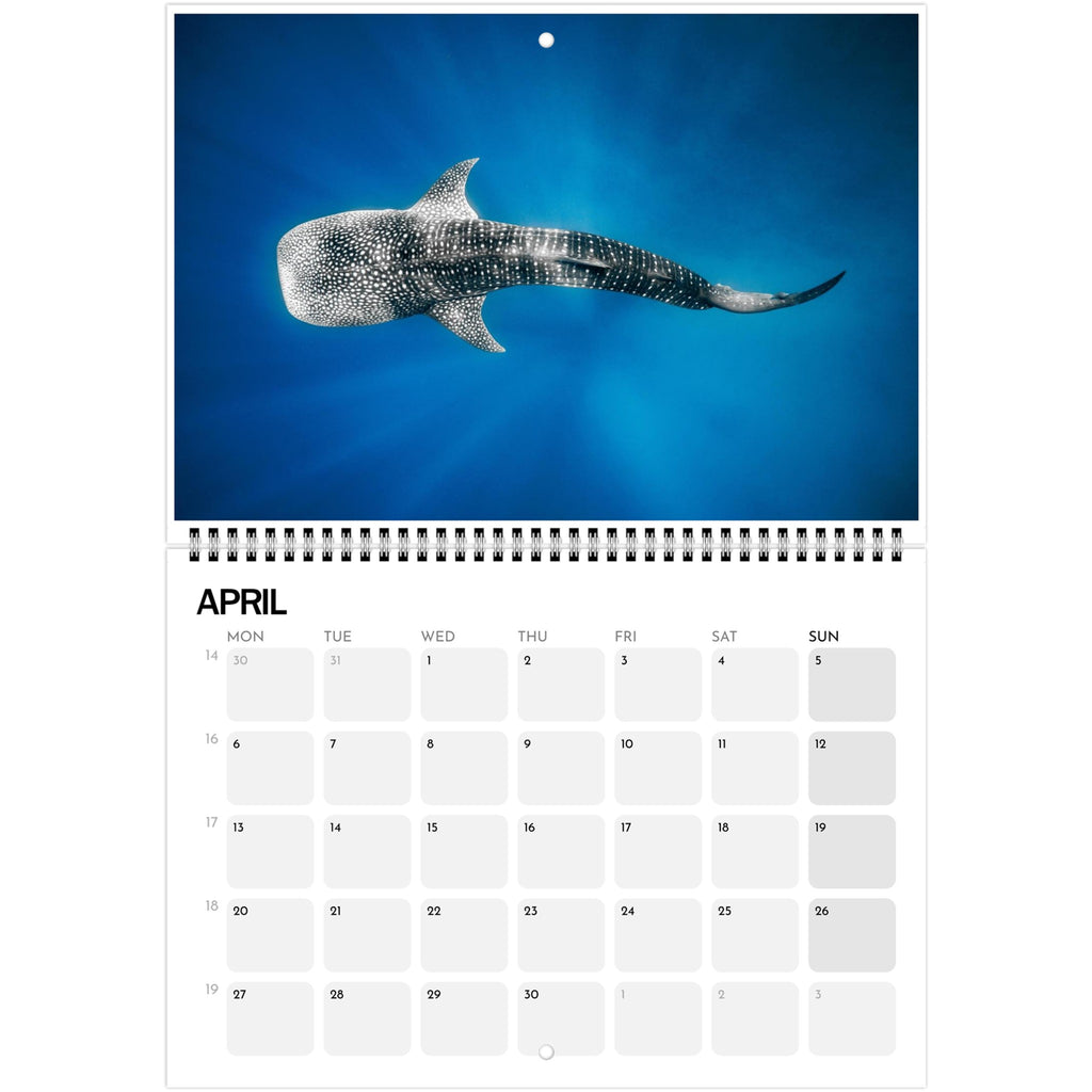 8f943f48-de54-4d1b-a7ac-5365074d74ba