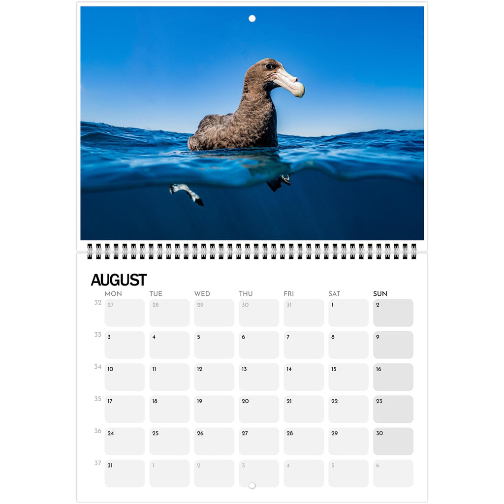 9e067124-99bc-478f-8ba2-9435bf49e663