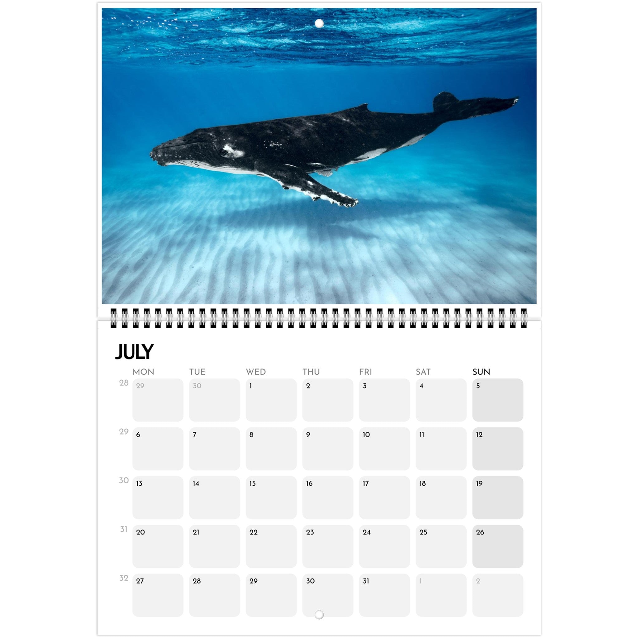 ac7c2151-e5c5-4ddd-87d5-a4e230c7d03e