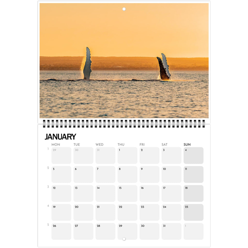 b510f042-869a-4ec8-91e5-92f260270865