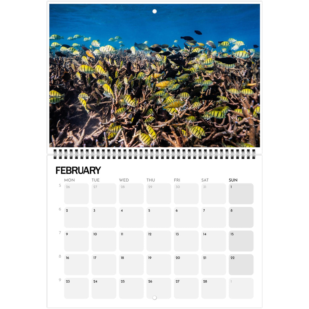 d0b98010-3d28-443c-98b4-f71789cbb4b7