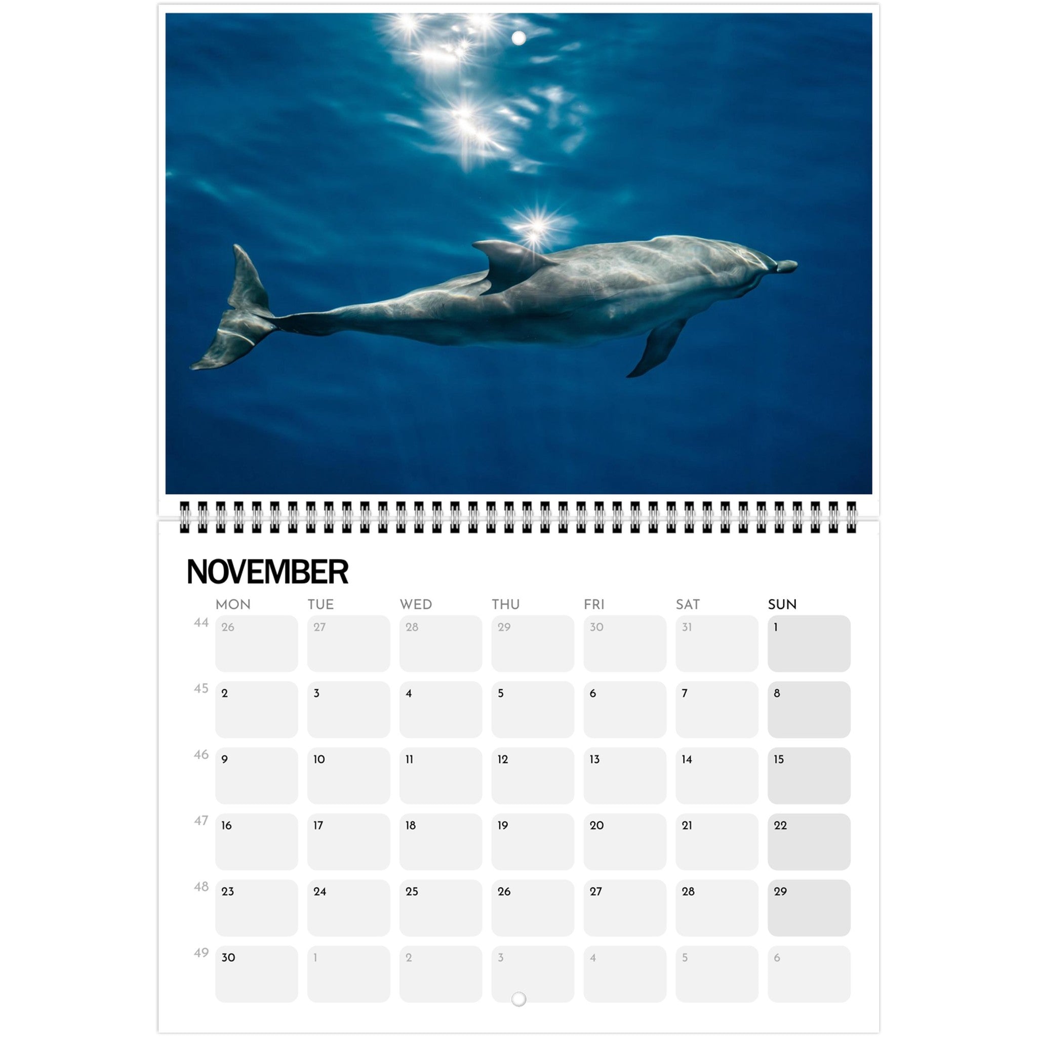 e0e9e5f8-b594-4142-9db6-ce78c7645df9