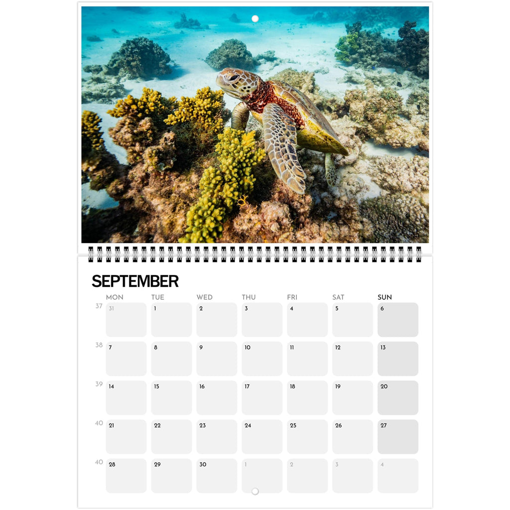 e1fbdf34-e5b9-41e0-b4c1-ed495abe71dc