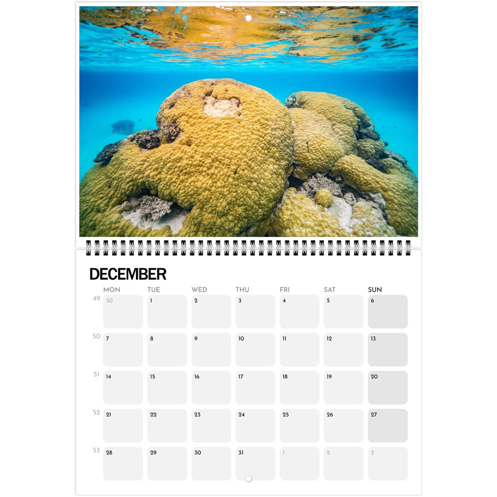 fa890d28-8eb0-4b72-b63f-bbbf42405ee3