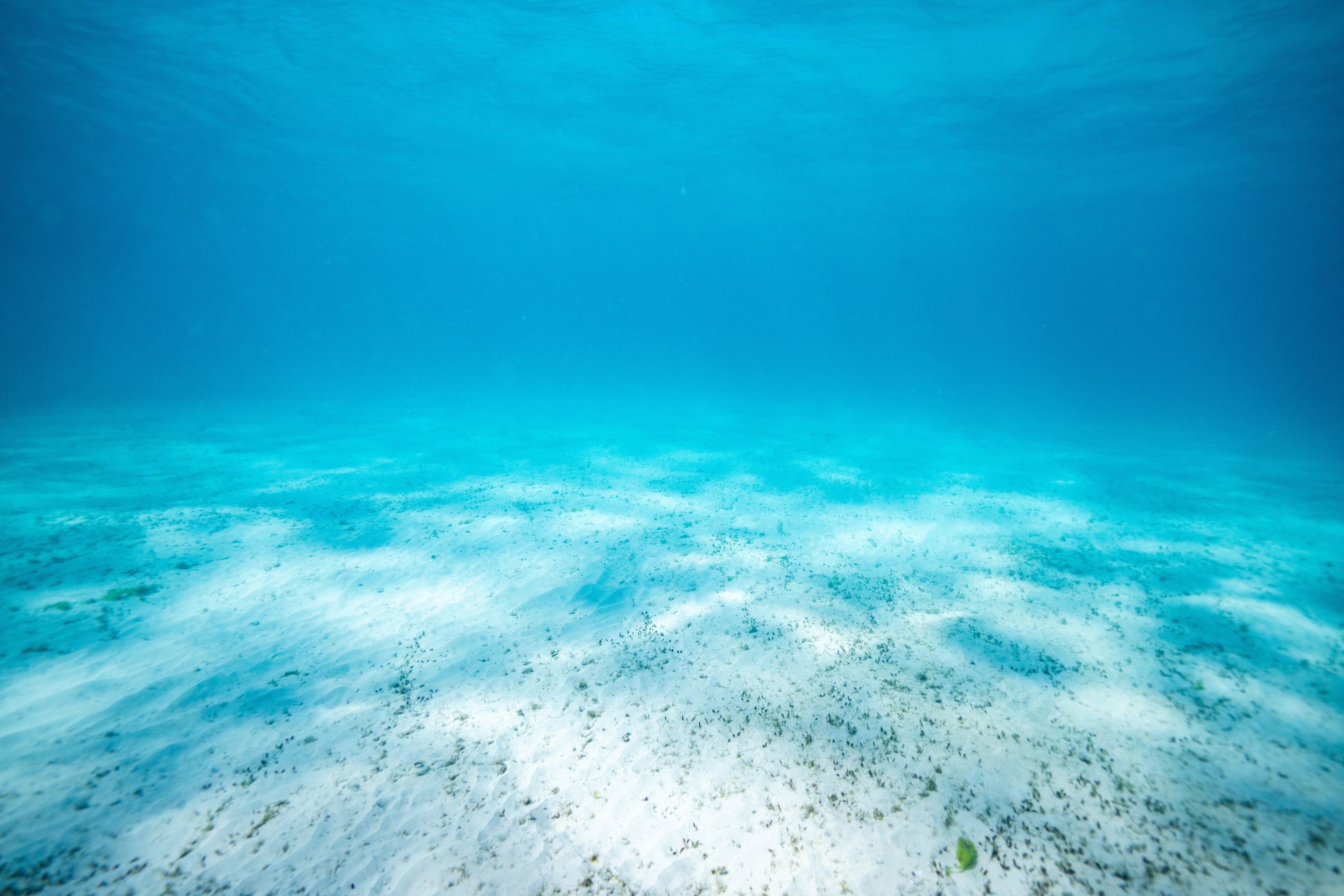 Underwater view of a sandy ocean floor with clear blue water.